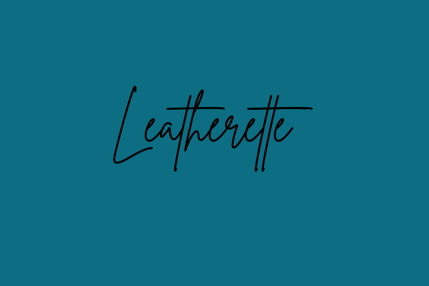 Leatherette Items