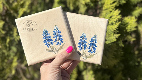 Blue bonnet Coasters